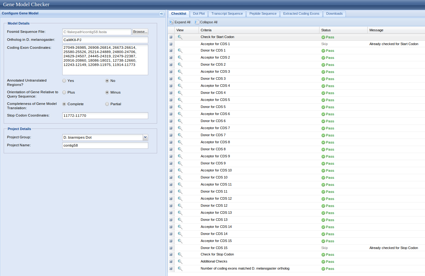 CaMKII Gene model checker